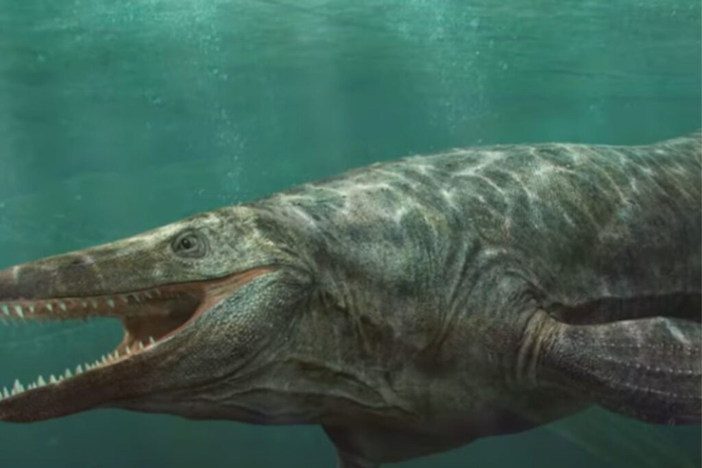 Diseño Sin Título (74)