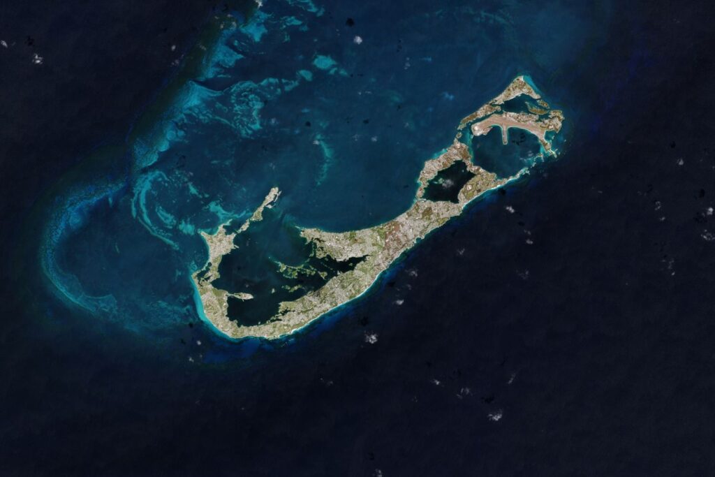 Diseño Sin Título (78)