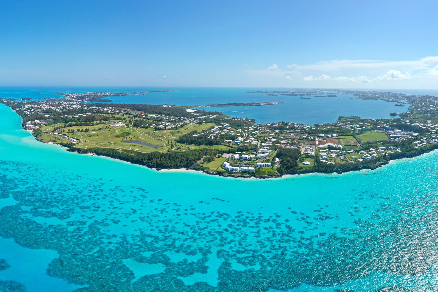 Diseño Sin Título (79)