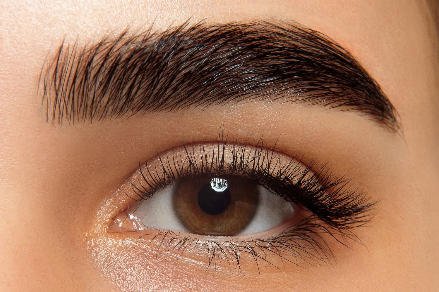 Diseño Sin Título (8)