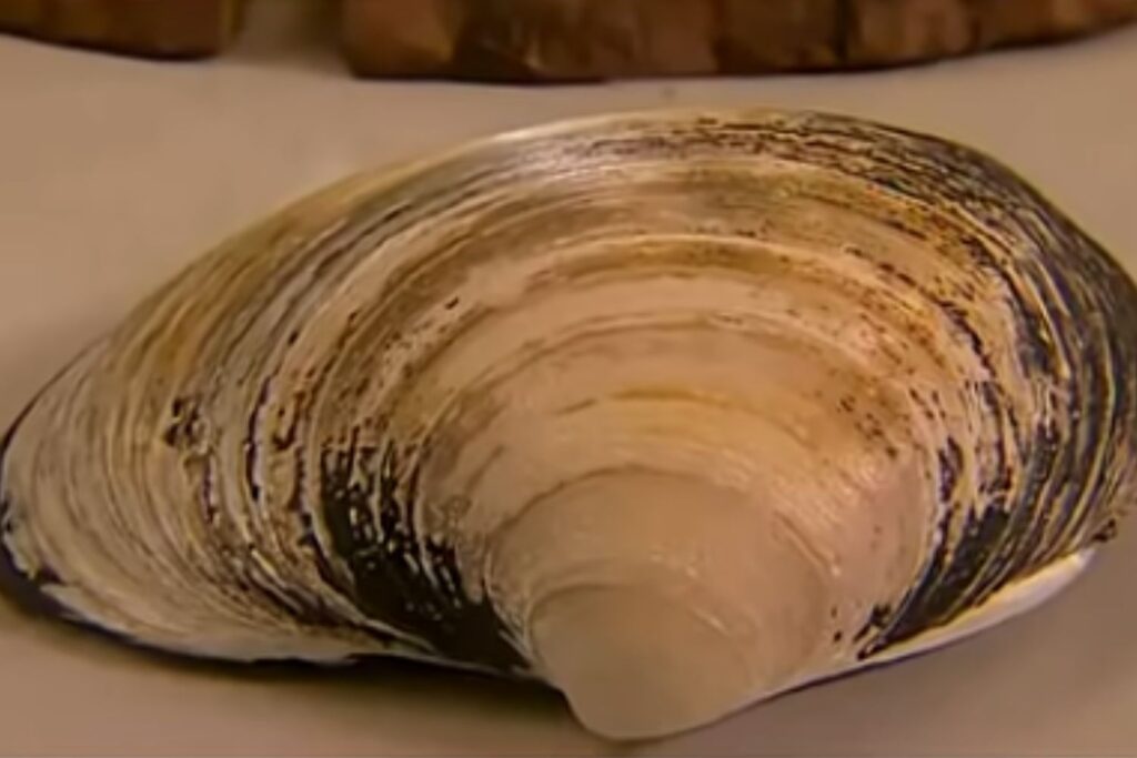 Diseño Sin Título (80)