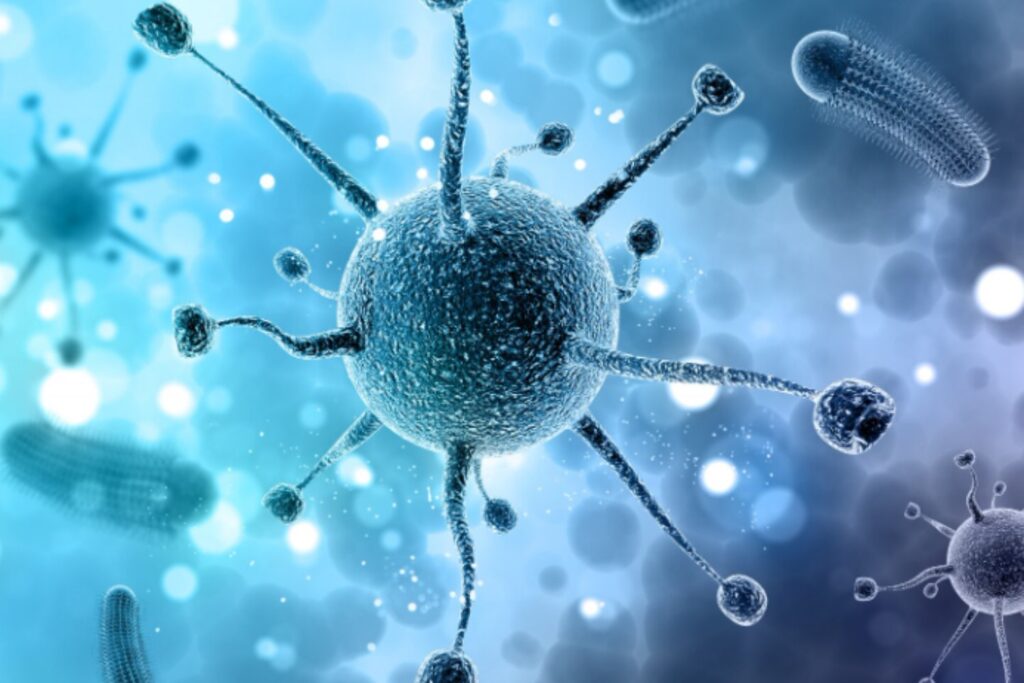 La evolución tenía una pieza escondida: la célula que abre una nueva rama del árbol eucariota