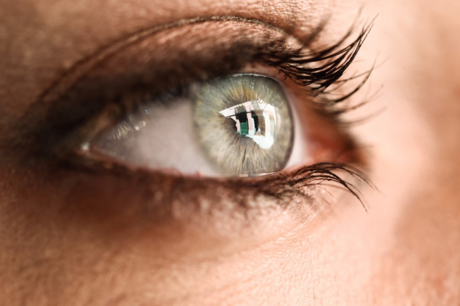 Cerebro en modo foco: por qué dejamos de parpadear cuando la tarea se complica