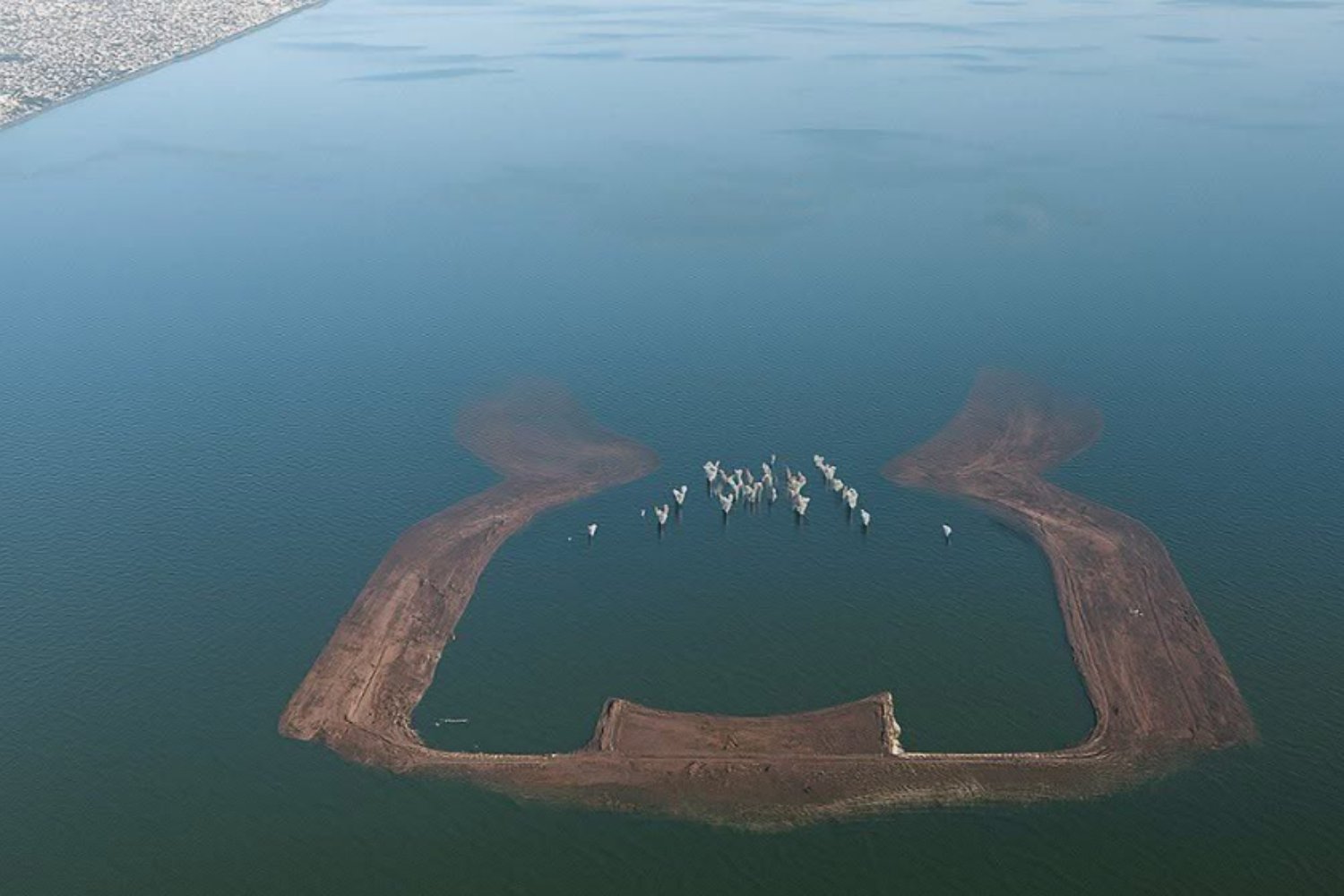 El satélite que quiere escuchar a los animales desde el espacio: empieza la era del “internet de la fauna”