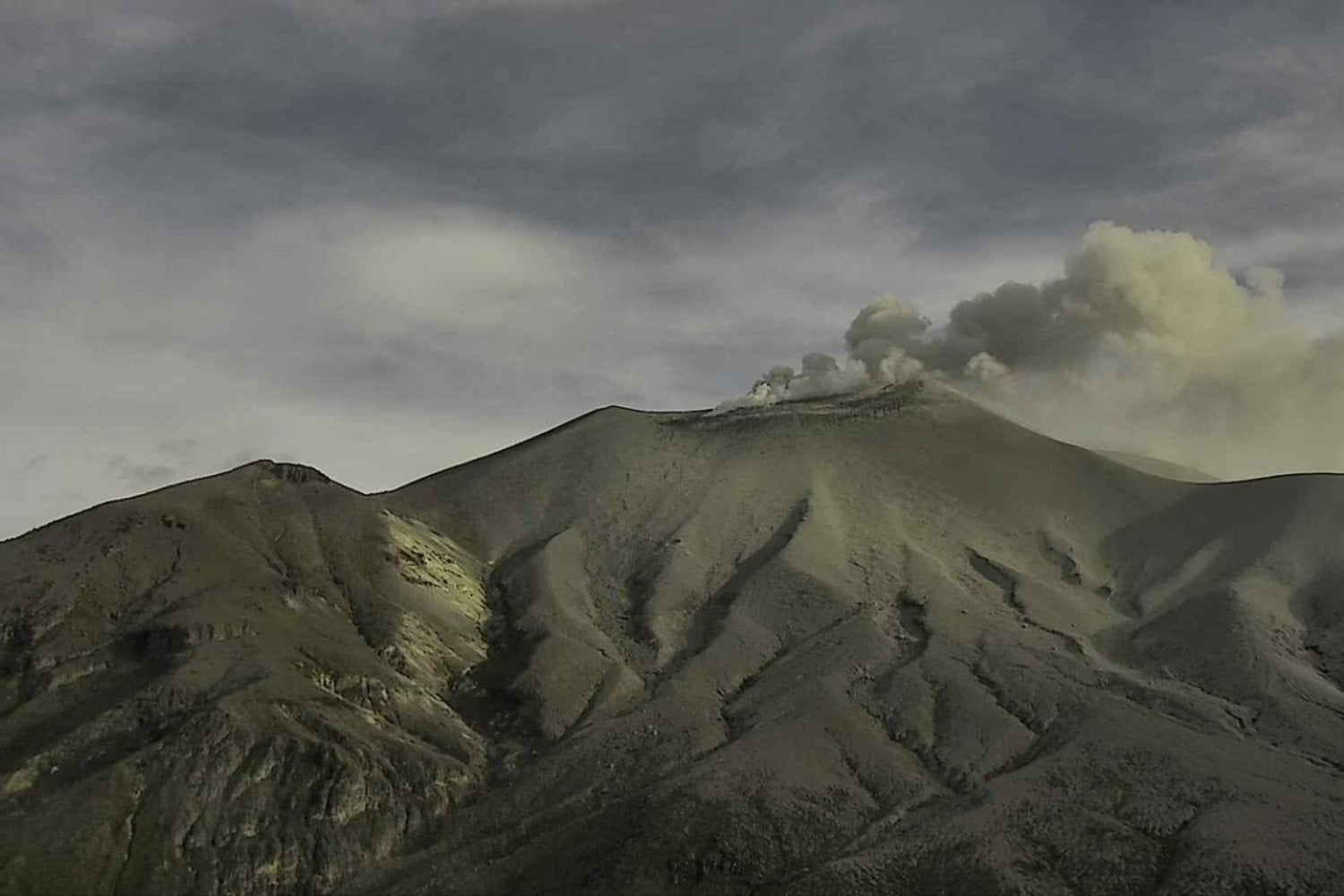 Erupciones volcánicas y comercio de grano: el detonante oculto de la Peste Negra en Europa