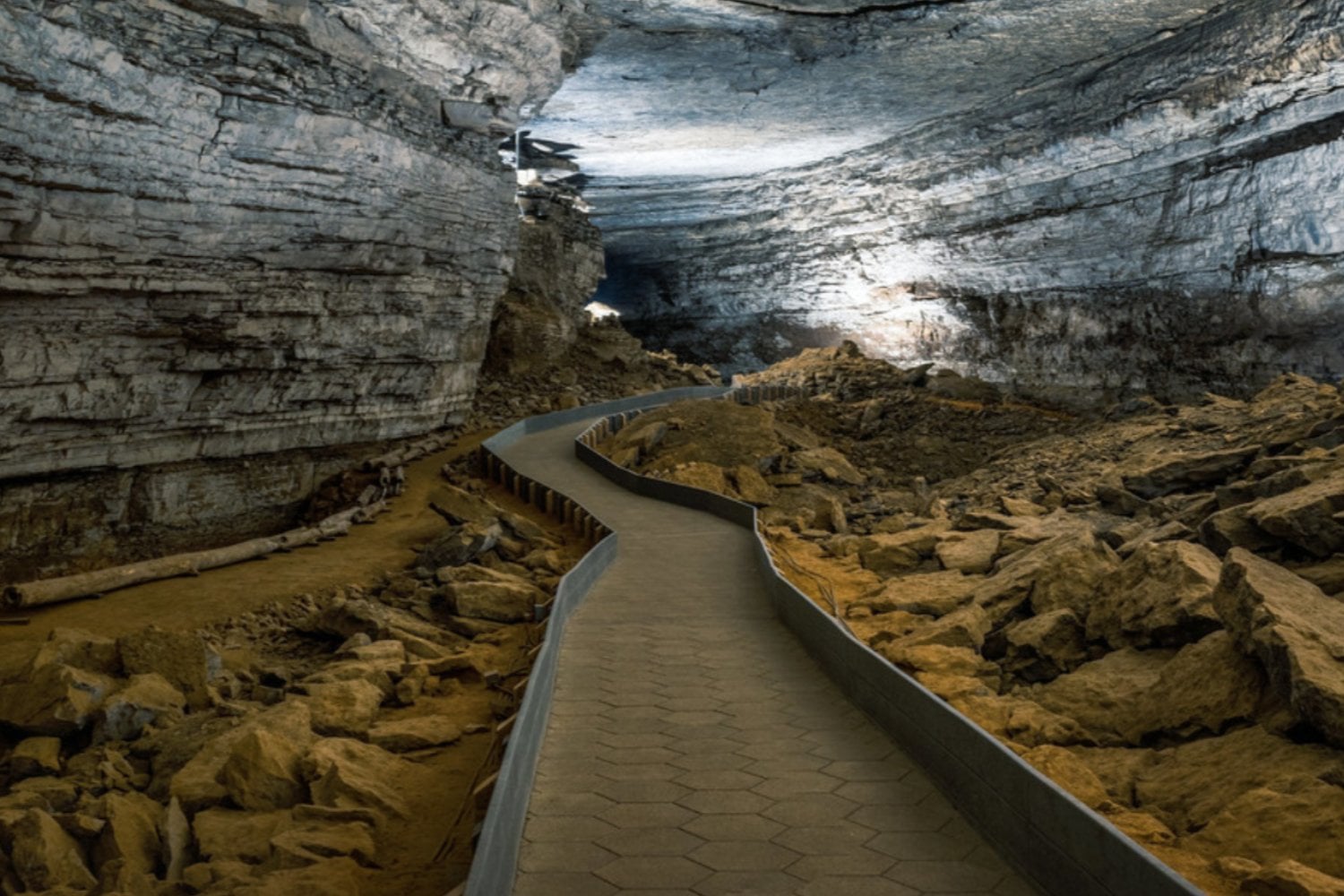 El misterio de Mammoth Cave: hallan dos tiburones fósiles atrapados durante 325 millones de años