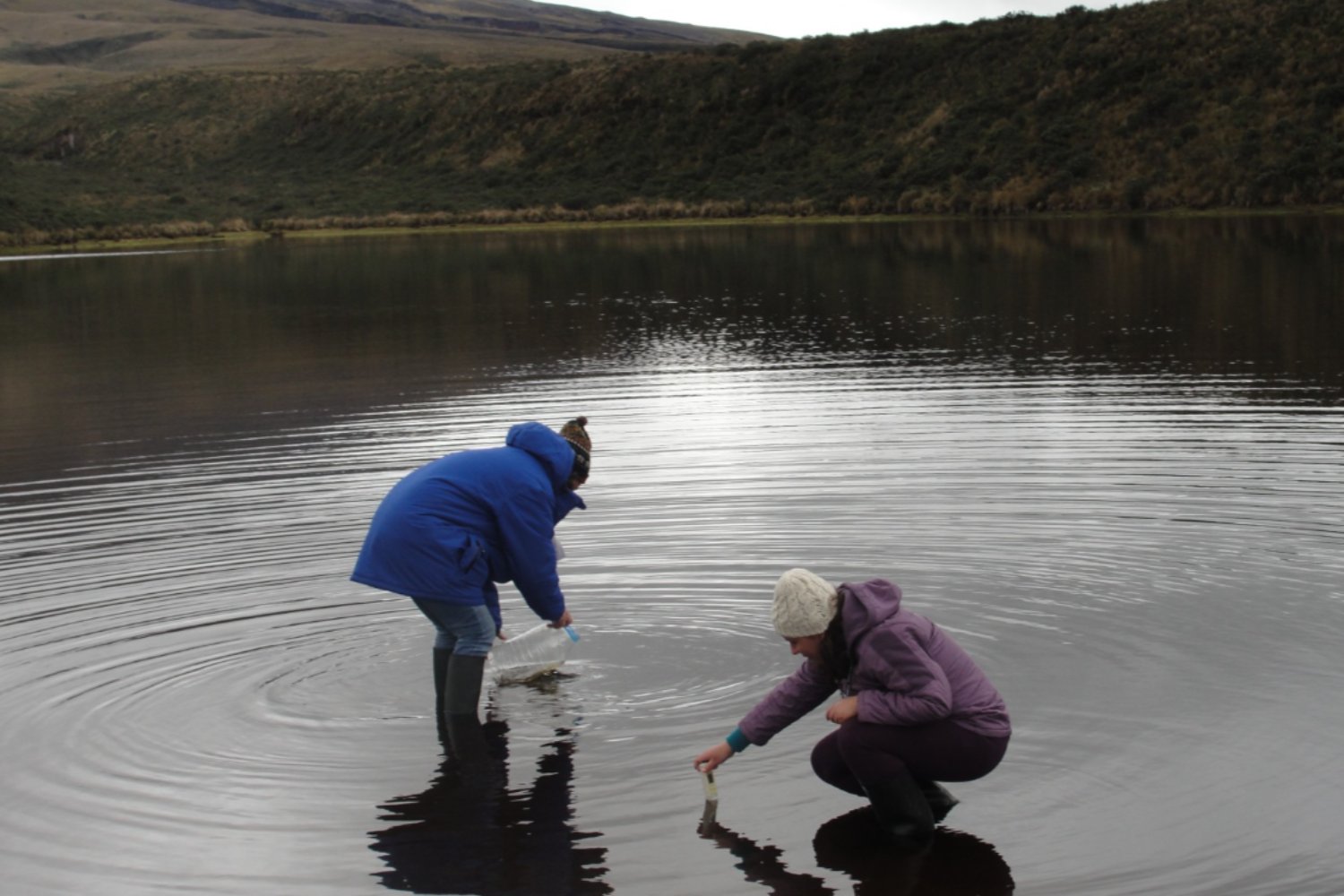 Microalgas al rescate del agua: el sistema que limpia metales pesados usando residuos cotidianos