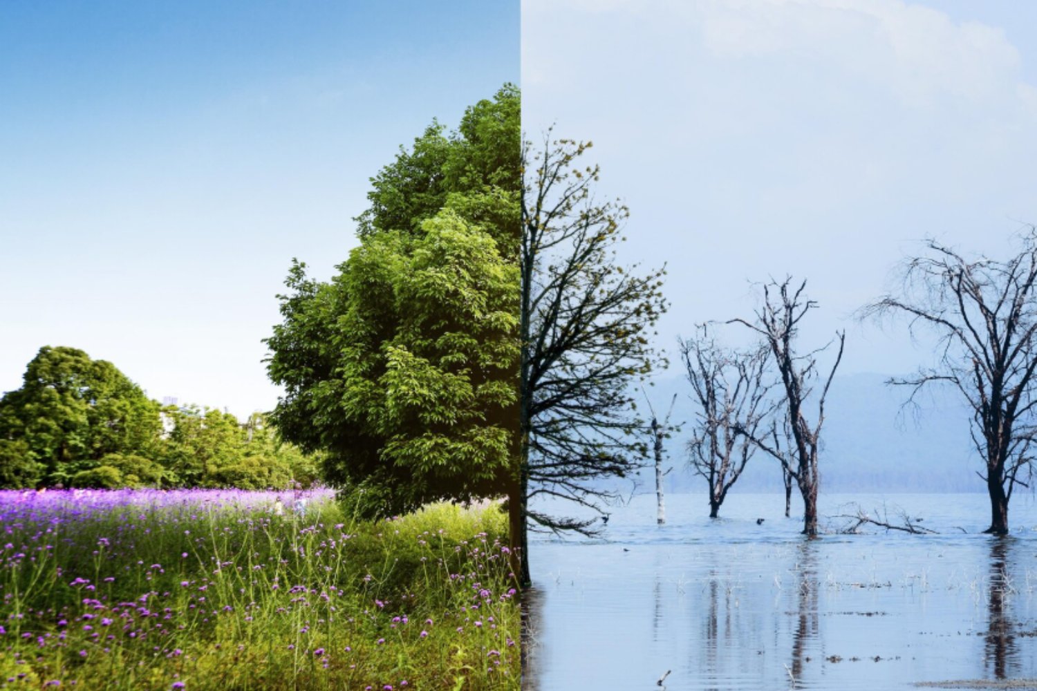 El origen del calentamiento global: lo que muestra la evidencia científica