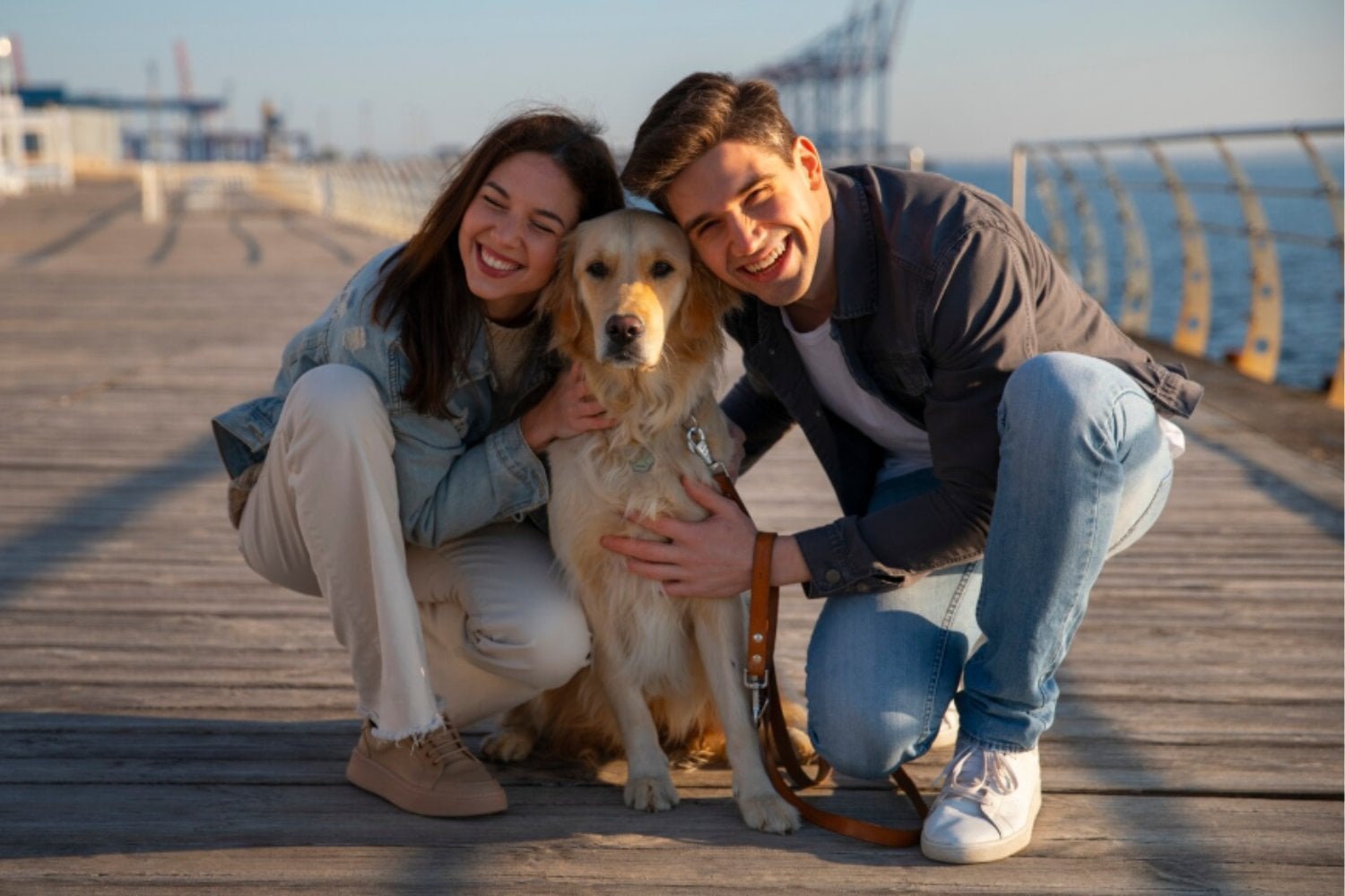 La nueva familia tiene cuatro patas: por qué perros y gatos sustituyen a los hijos