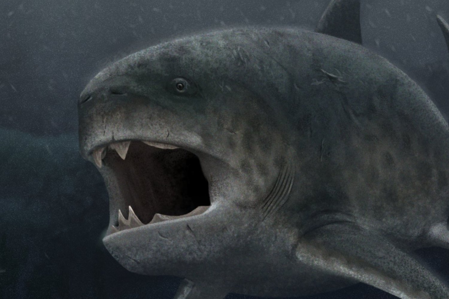 No cazaba succionando: así usaba realmente sus mandíbulas uno de los mayores depredadores marinos prehistóricos