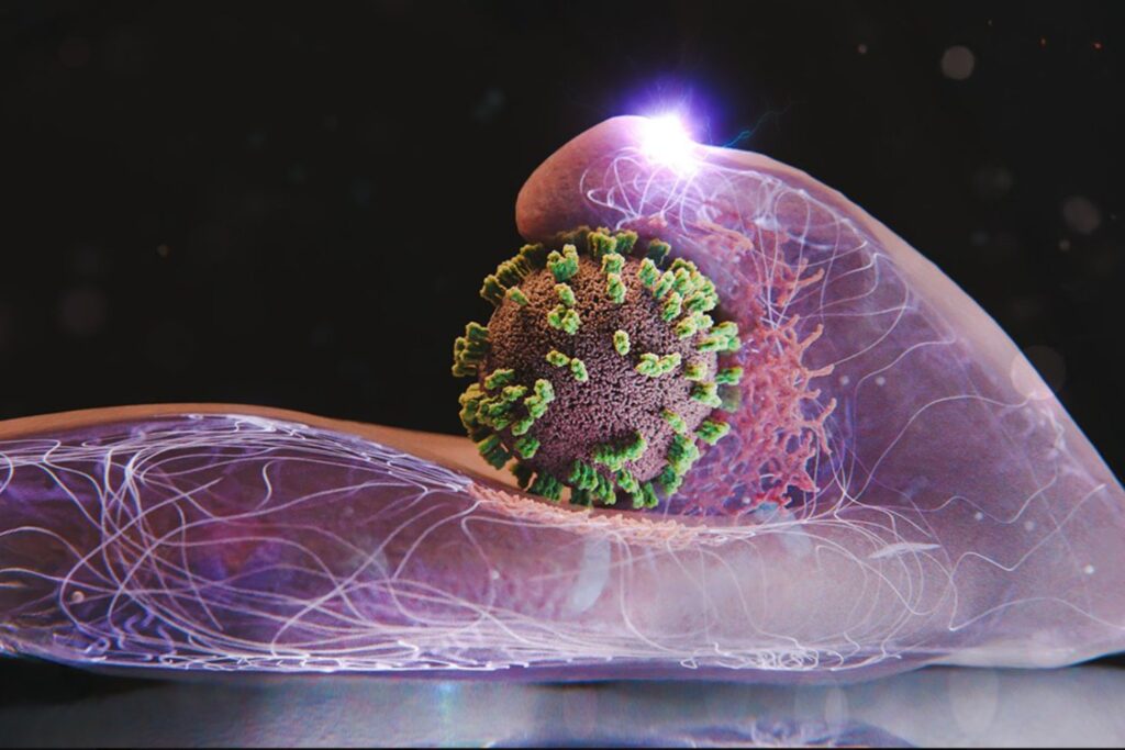 Así invade la gripe al cuerpo humano: captan por primera vez el ataque viral en células vivas