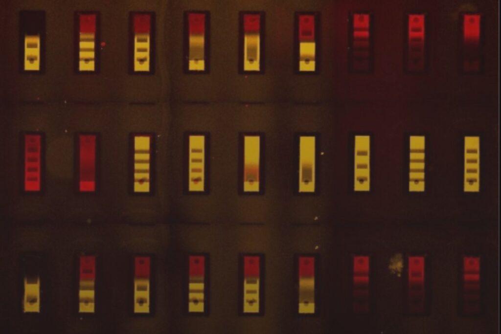 El biochip que podría cambiar para siempre la forma de responder a una pandemia