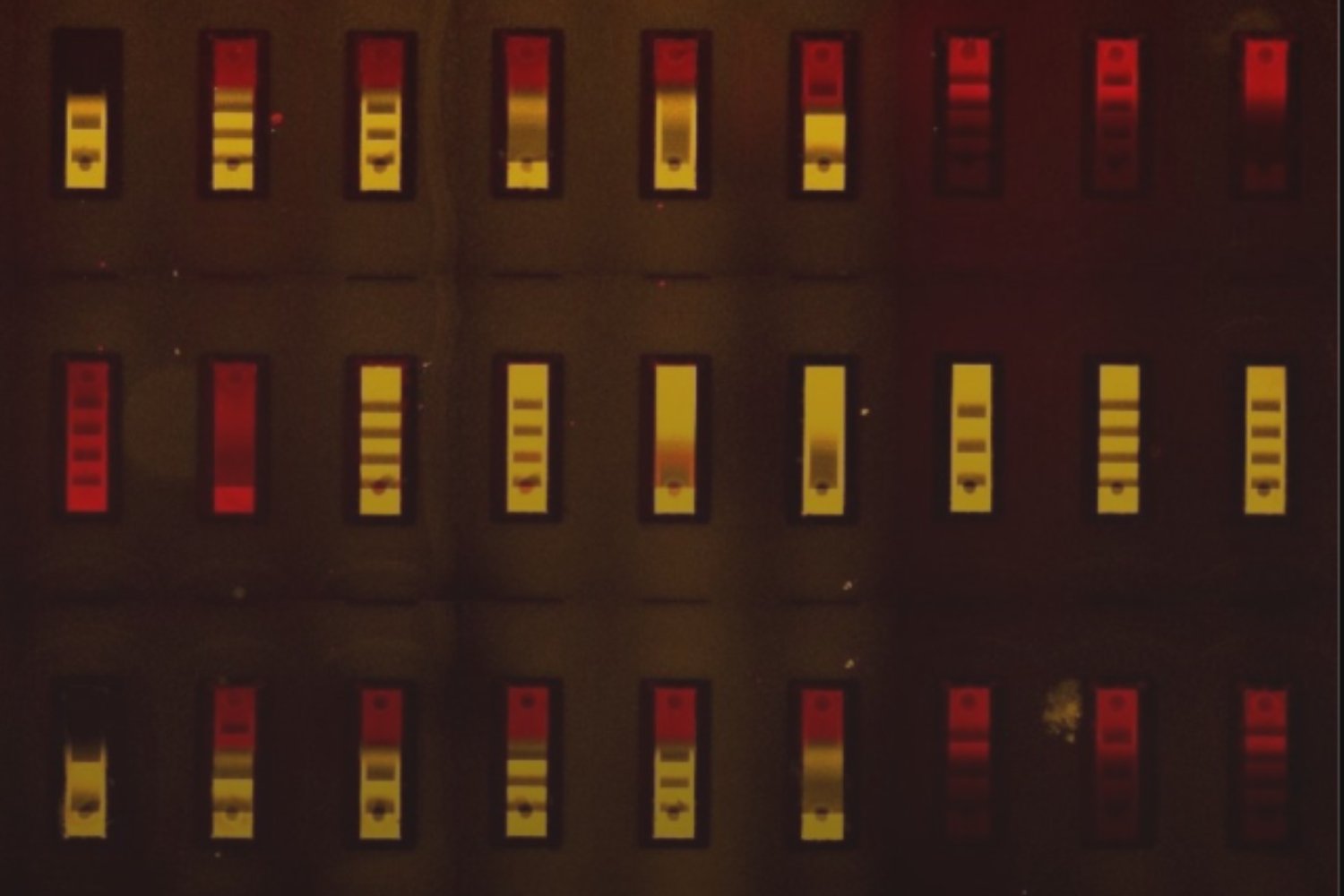 El biochip que podría cambiar para siempre la forma de responder a una pandemia