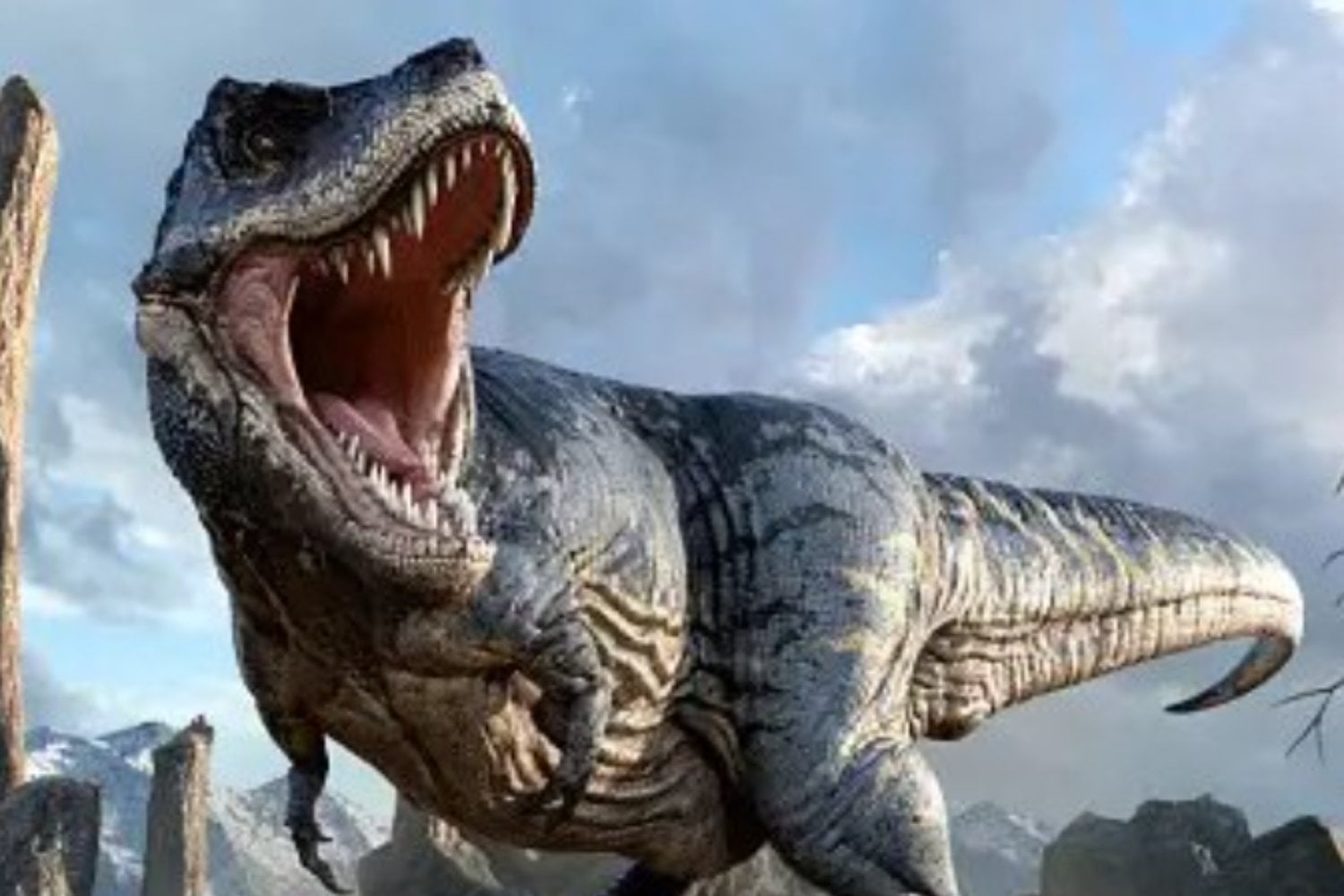 Una huella, dos continentes: evidencia fósil muestra que África y Sudamérica eran una sola tierra