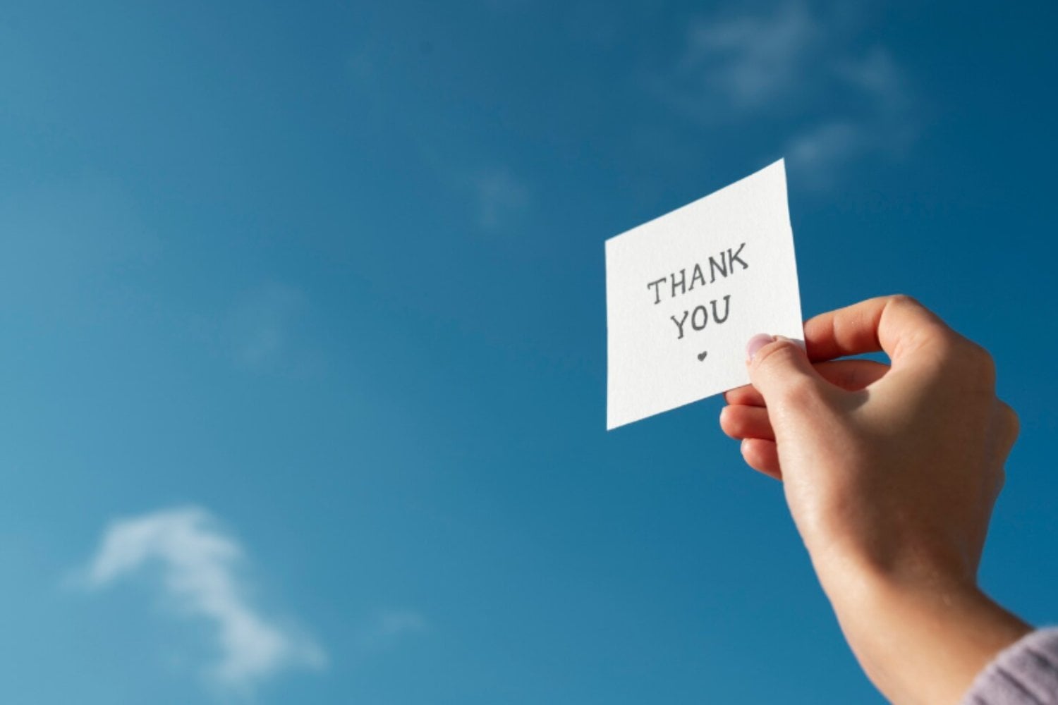 Cuando el cerebro respira: la ciencia detrás de cómo la gratitud reduce el estrés