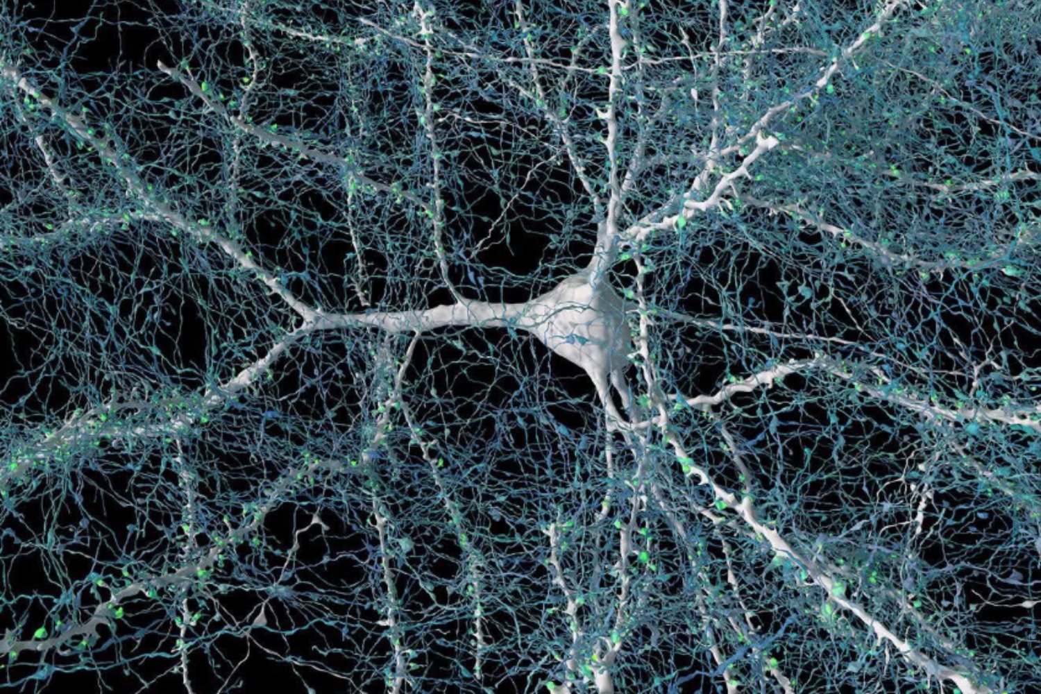 Dormir para recordar mejor: el experimento que demuestra cómo el cerebro fija recuerdos mientras descansamos