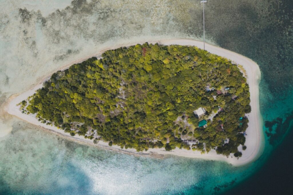 Cuando las ratas desaparecen: el renacer ecológico de dos islas perdidas en el Pacífico