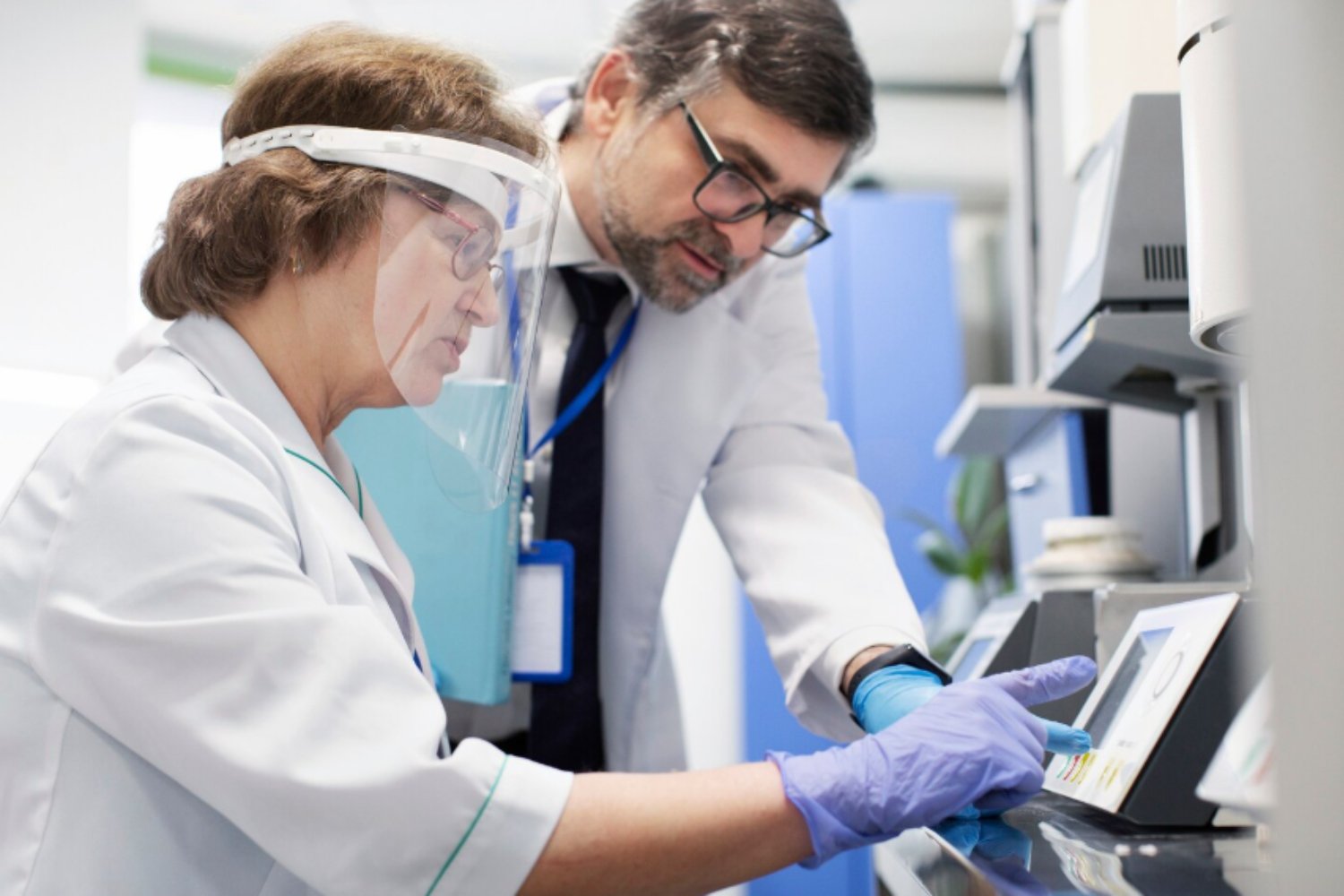 La vida animal empezó antes de lo que pensábamos: el hallazgo que reescribe la historia de la Tierra