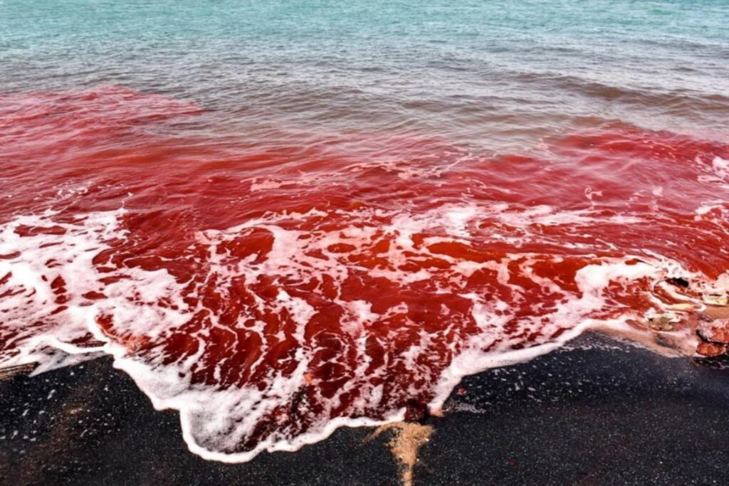 El mar rojo de Irán no es una señal apocalíptica: la ciencia detrás de la playa que parece sangrar