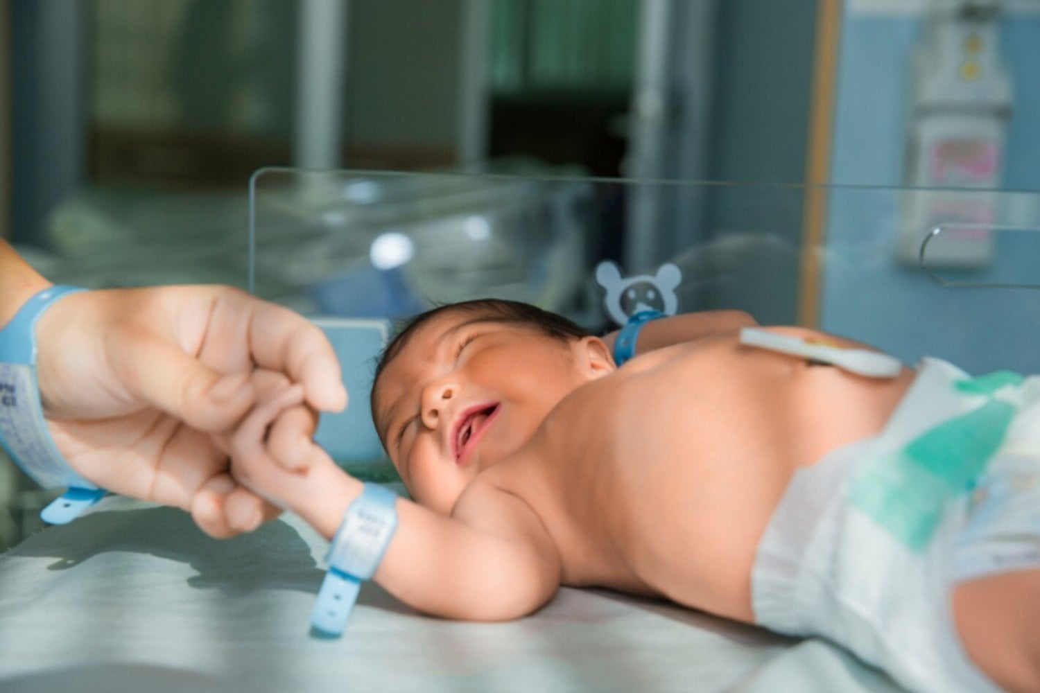 Cuando la donación de esperma se vuelve global: por qué algunos hombres tienen cientos de hijos