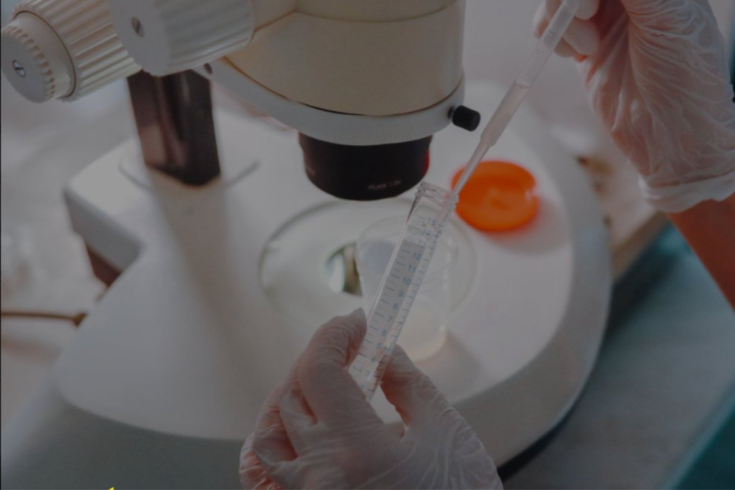 Cuando la donación de esperma se vuelve global: por qué algunos hombres tienen cientos de hijos)