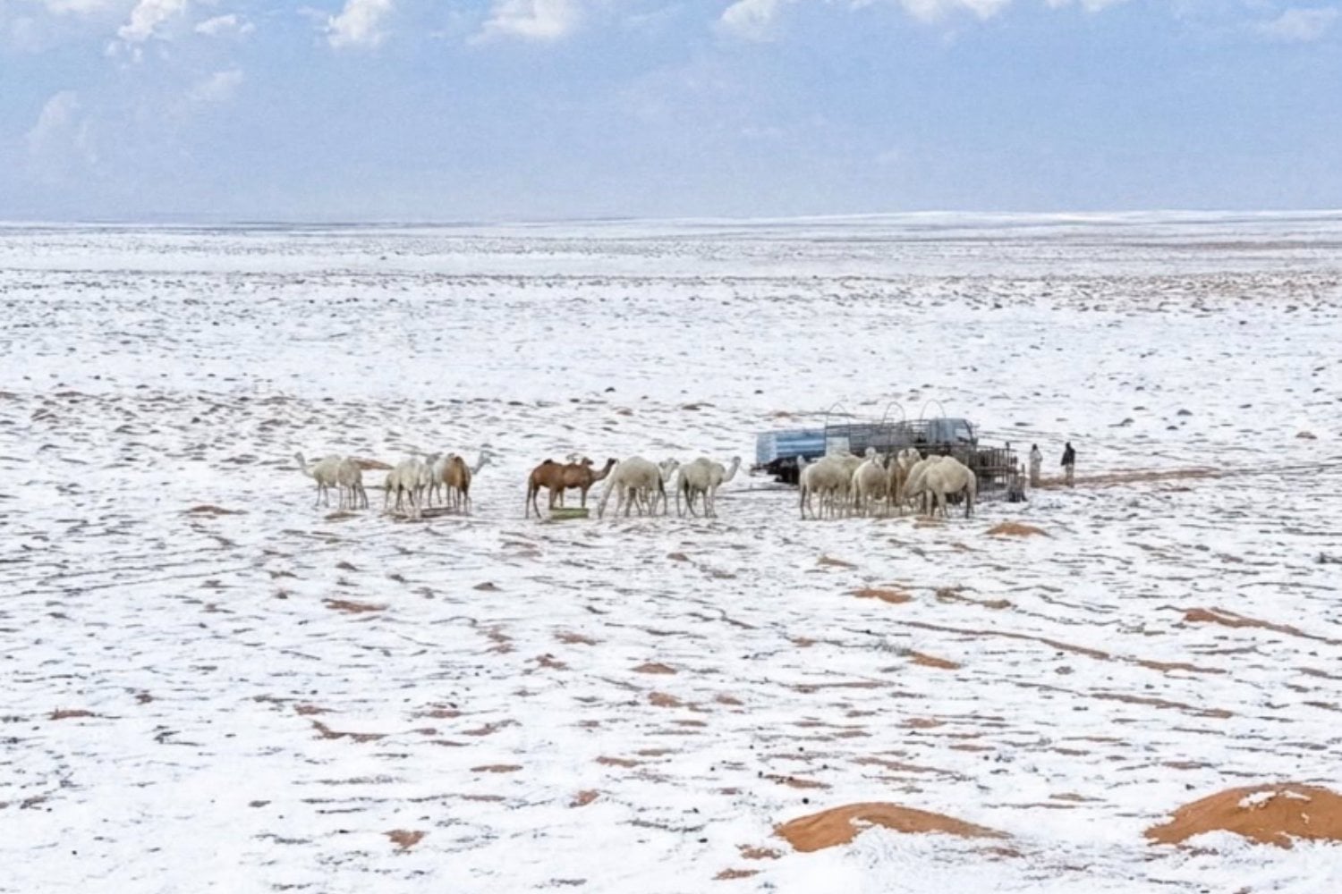 El desierto saudí se tiñó de blanco: la explicación científica detrás de una nevada histórica