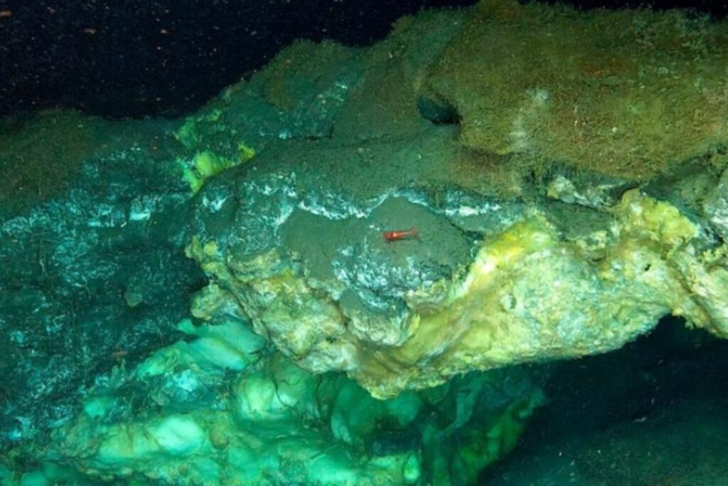 El “hielo que arde” del Ártico: un ecosistema extremo que podría cambiar lo que sabemos del océano profundo