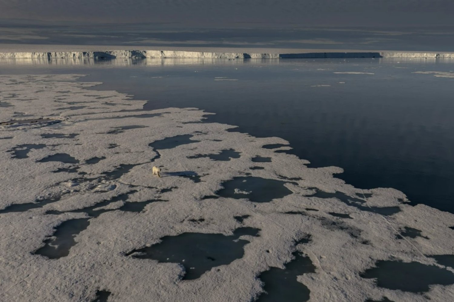 El “hielo que arde” del Ártico: un ecosistema extremo que podría cambiar lo que sabemos del océano profundo