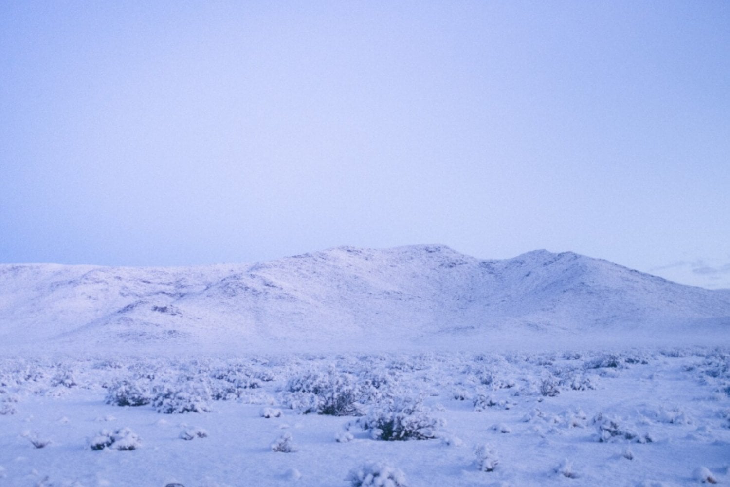 La falsa nieve del desierto: el fenómeno viral en la India que alarma a científicos y médicos