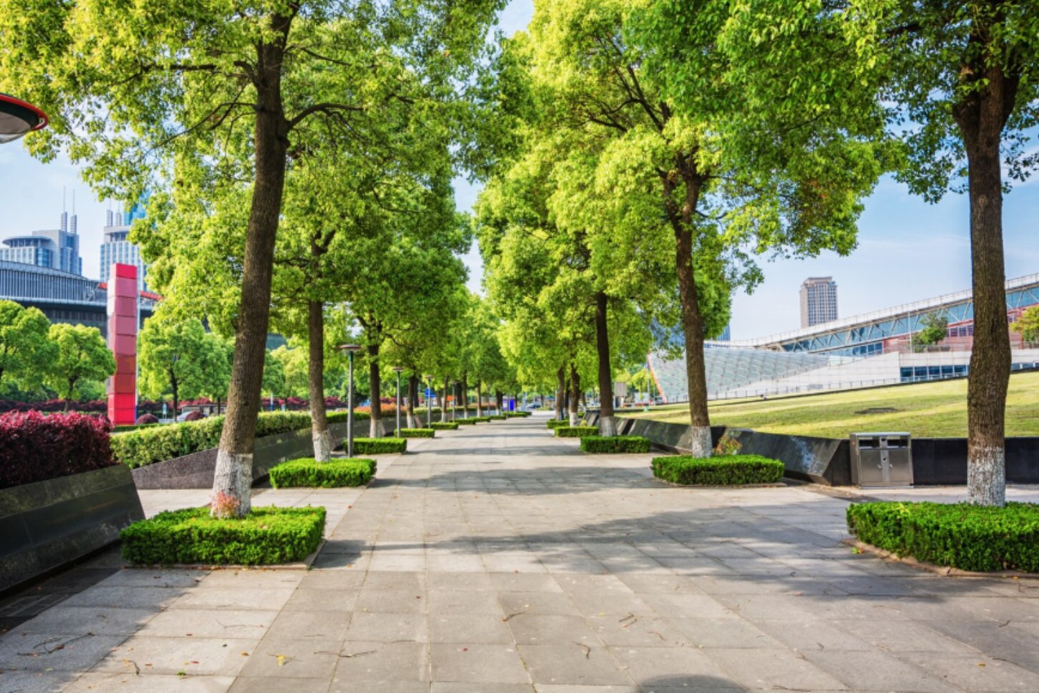 Vivir en la ciudad será cada vez más caluroso: la advertencia que llega desde la ciencia