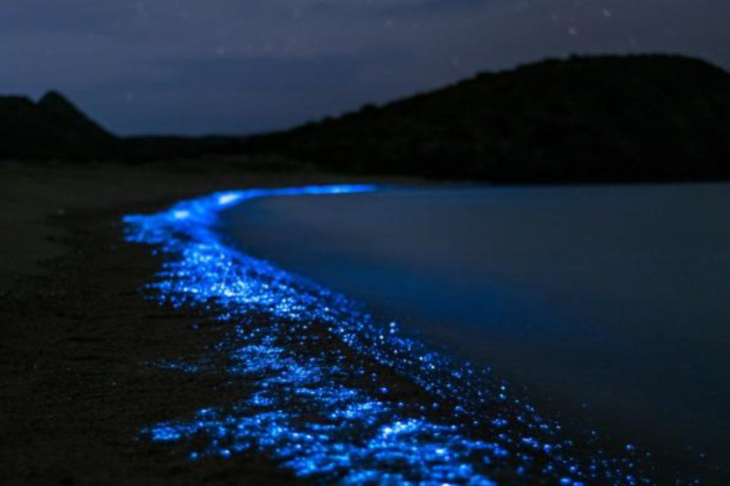 Cuando el mar se enciende de azul: el misterioso resplandor nocturno que sorprendió al sur de Florianópolis