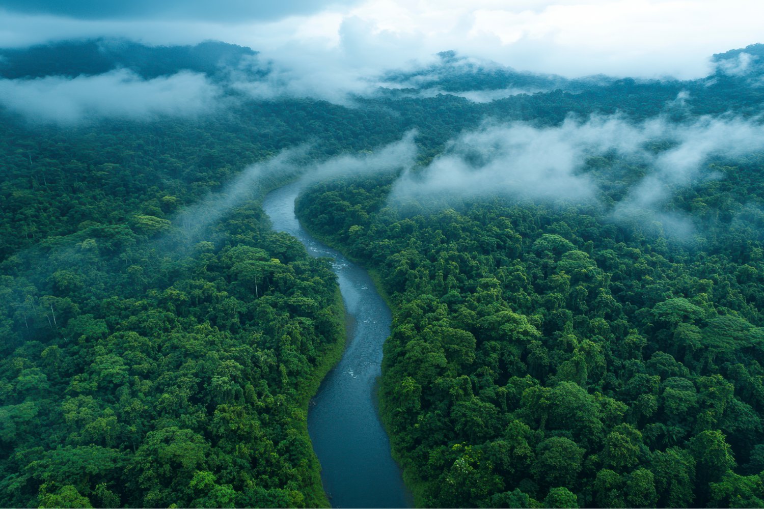 La Amazonia cruza un umbral climático peligroso: el inquietante auge del “hipertropical”
