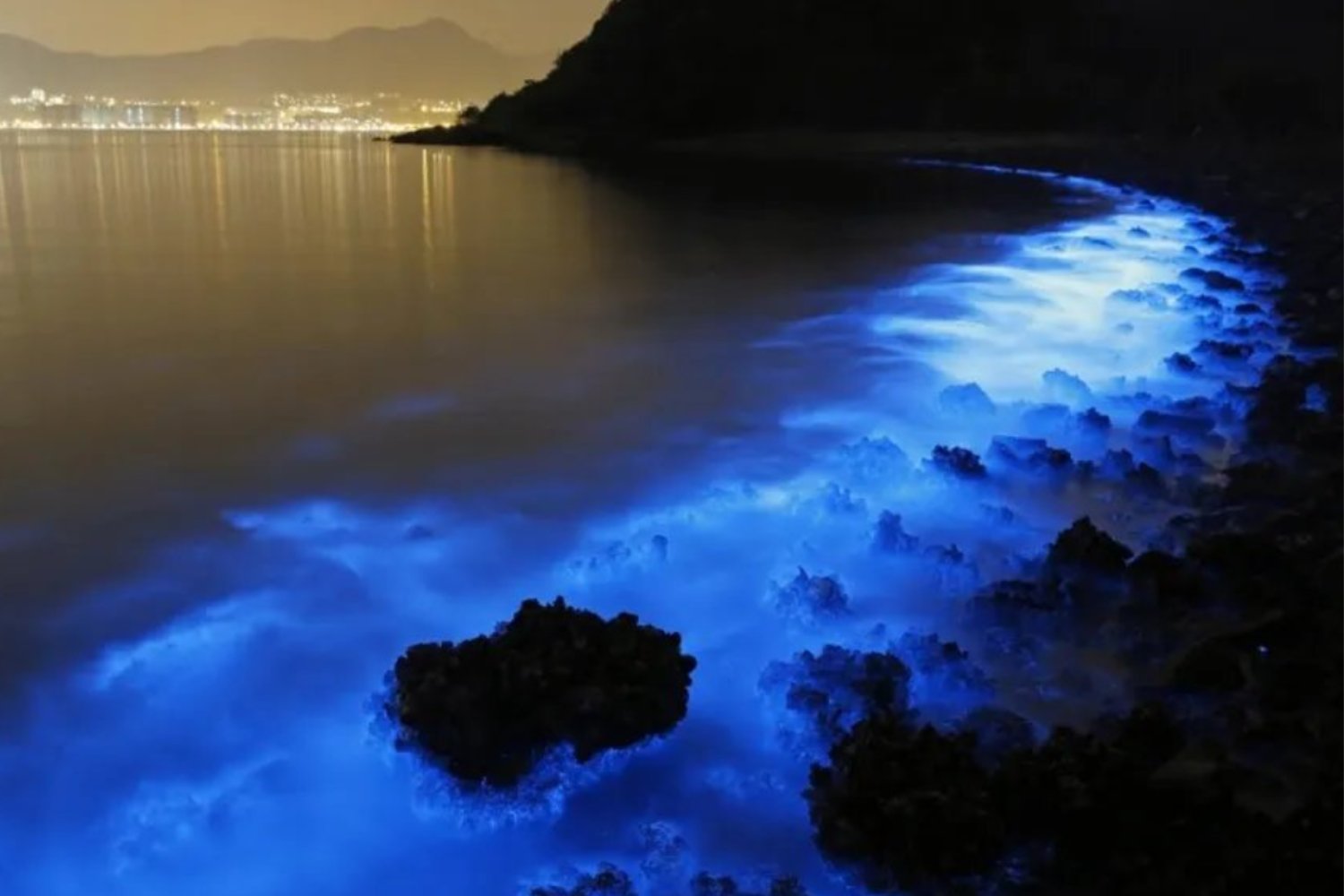 En la oscuridad total del océano, la vida aprendió a encenderse