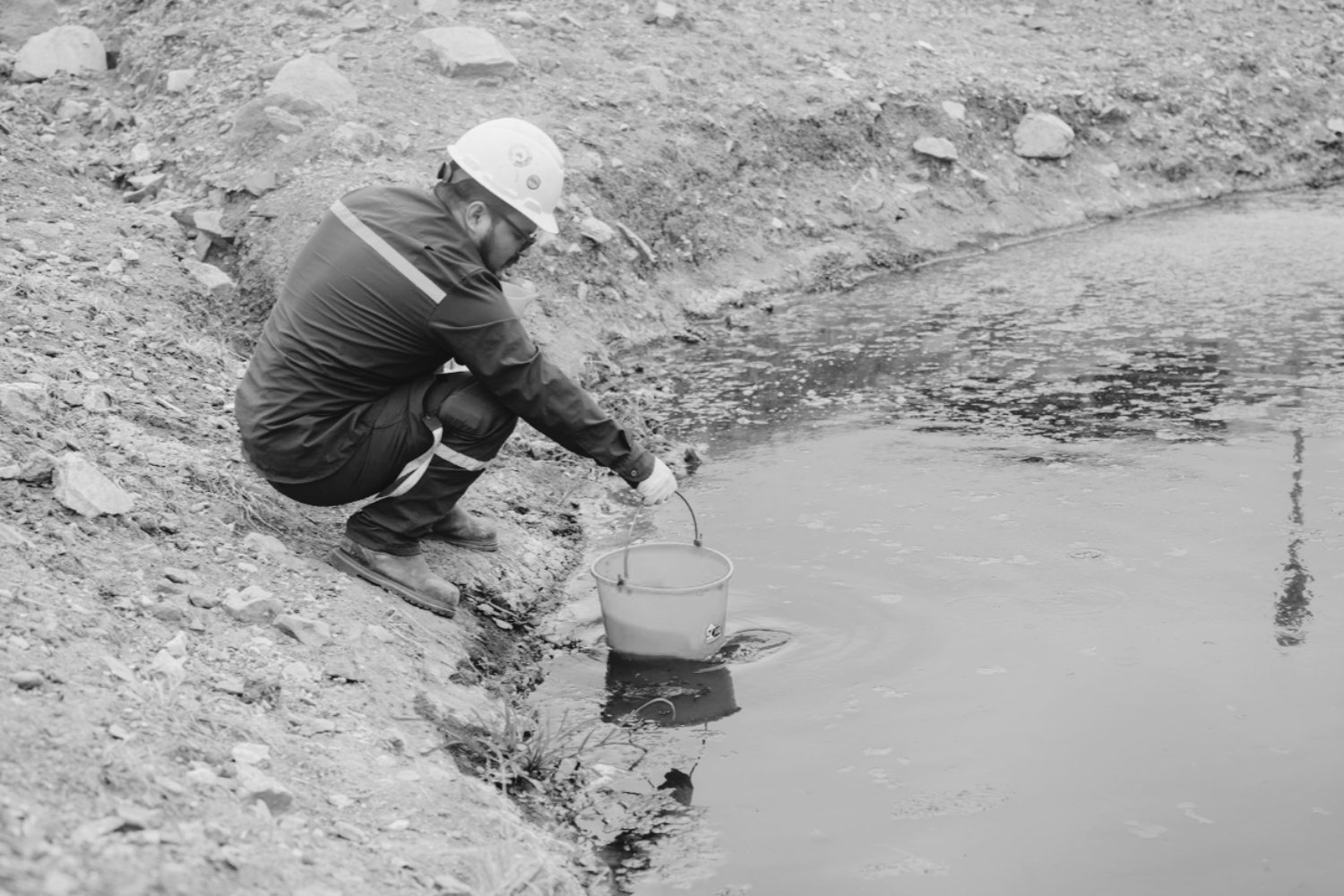 Microalgas contra la contaminación: el “filtro vivo” creado en España y Suecia para limpiar el agua de metales pesados
