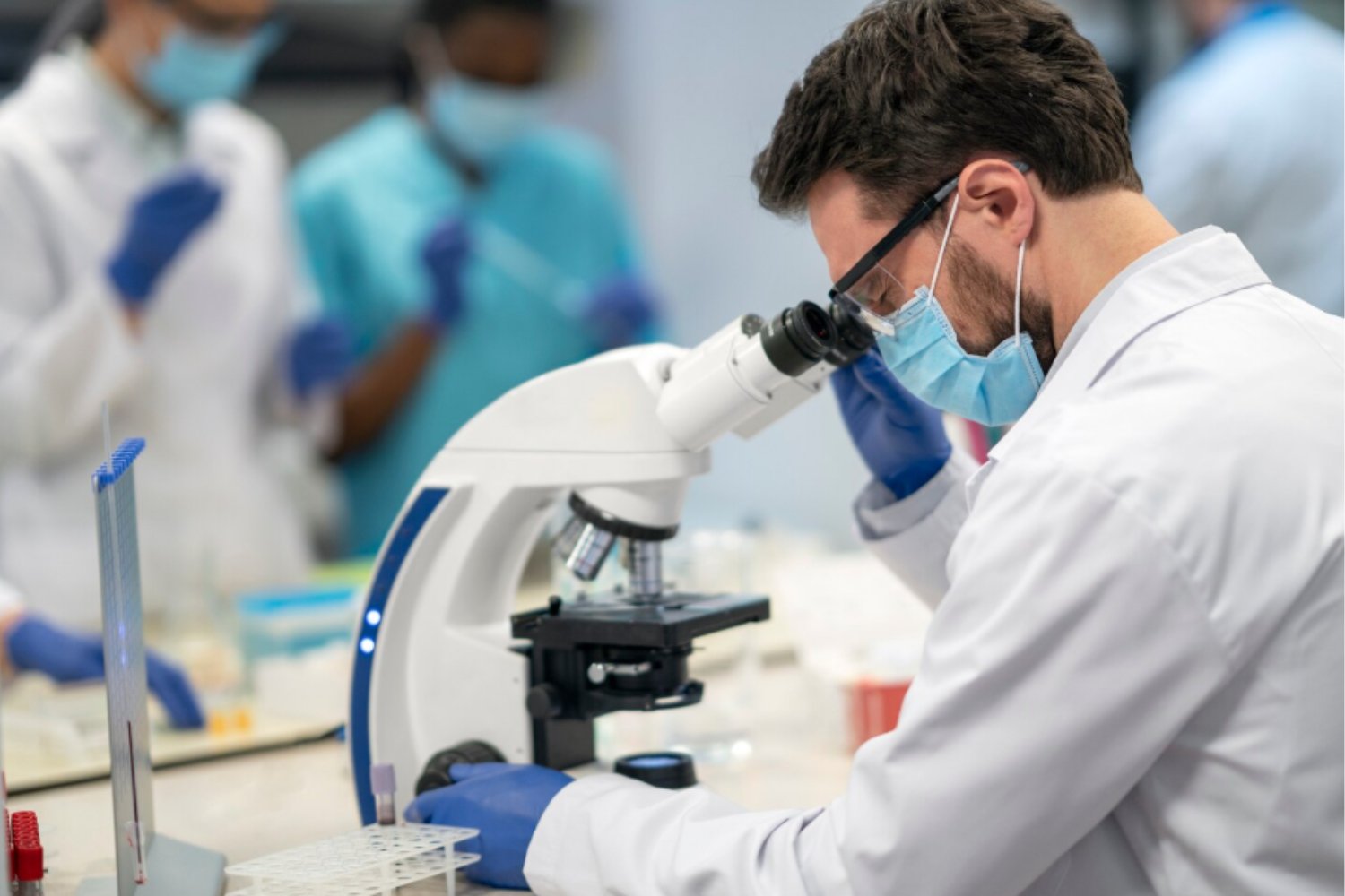 Microalgas contra la contaminación: el “filtro vivo” creado en España y Suecia para limpiar el agua de metales pesados