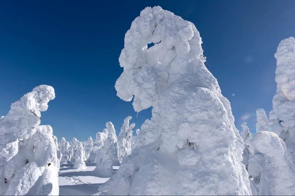 Gigantes que se derriten: los monstruos de nieve de Japón están desapareciendo