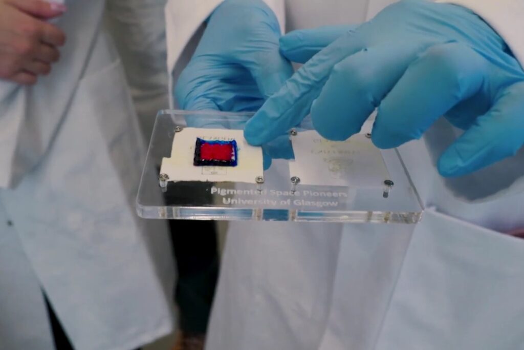 La ropa del futuro podría venir del espacio: tejidos vivos que avisan cuando la radiación es peligrosa