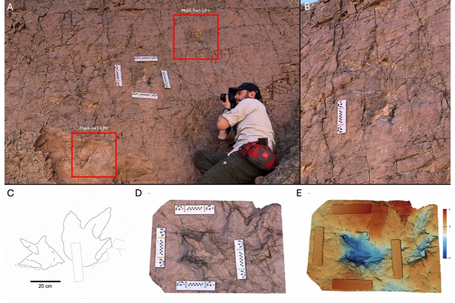 Las huellas más diminutas del Jurásico aparecen en Chile y reescriben la historia de los dinosaurios