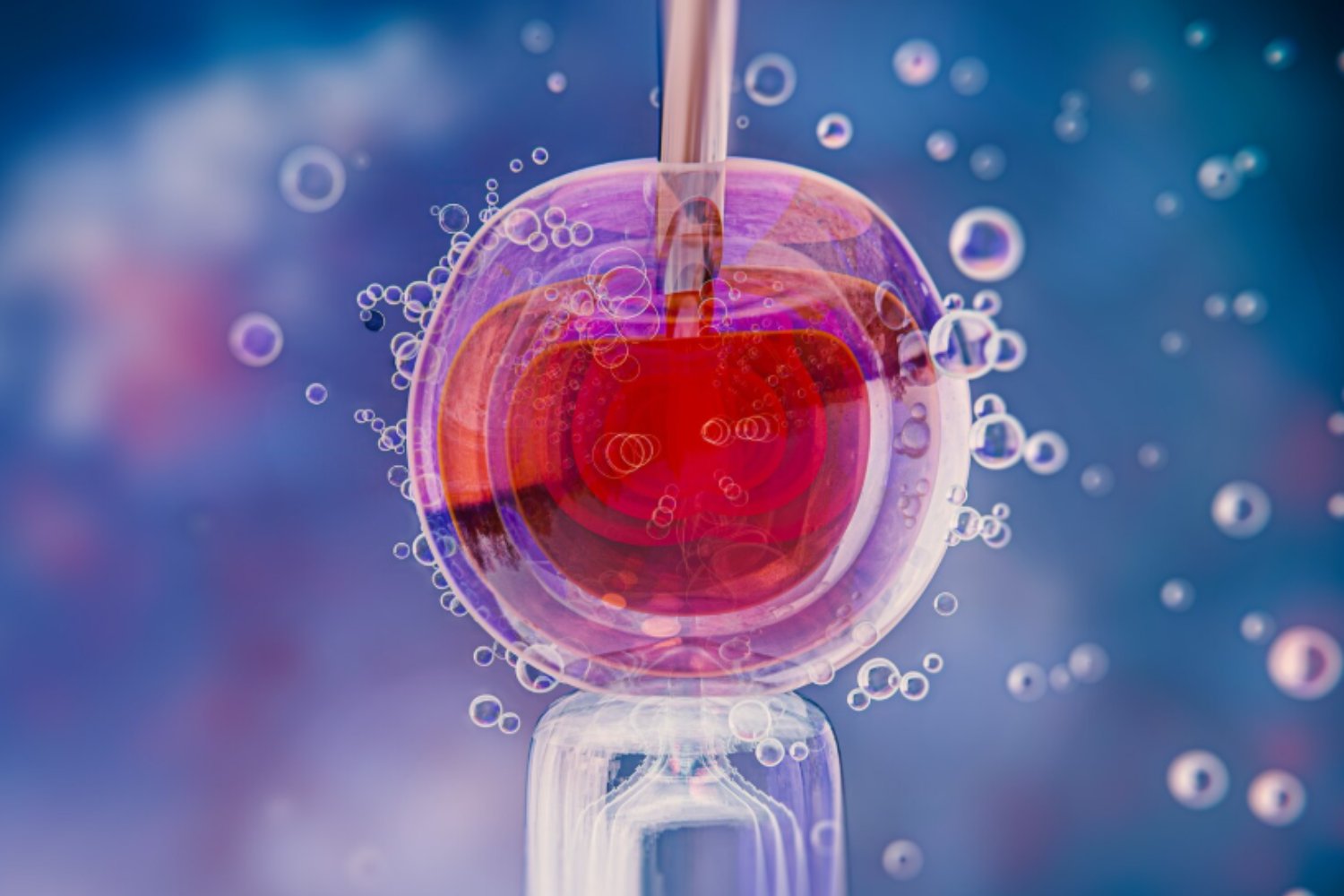 Embarazo fuera del cuerpo: el experimento que logró imitar la implantación humana en laboratorio