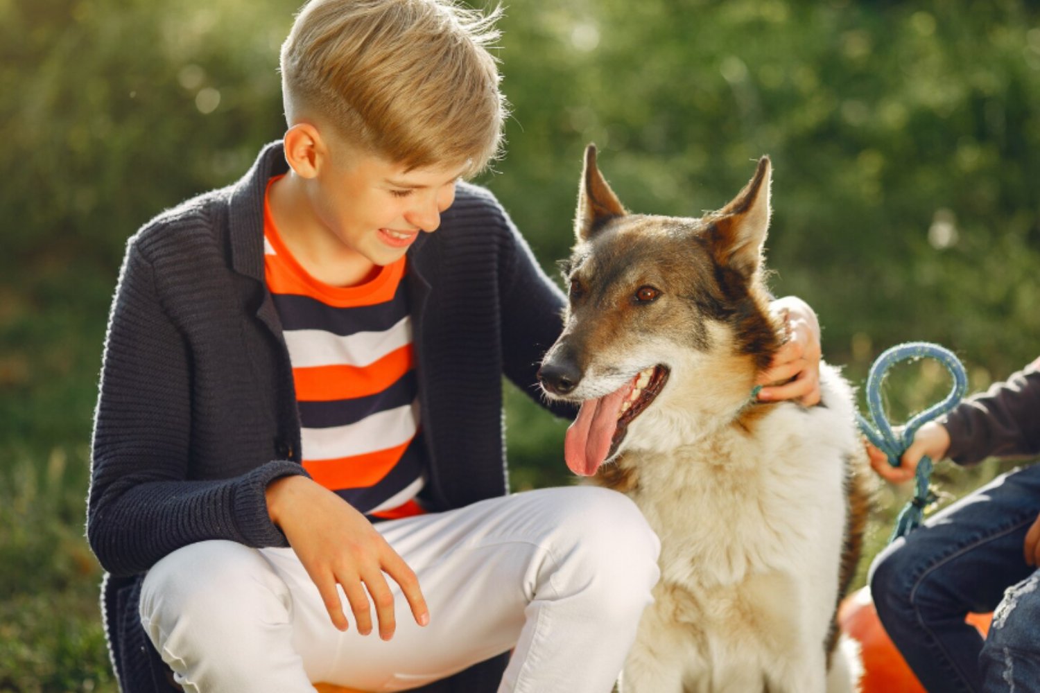 Convivir con un perro en la adolescencia mejora la salud mental y social, según la ciencia