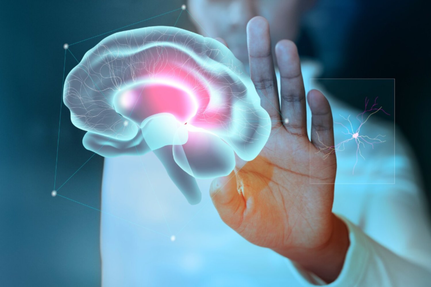 Así distingue el cerebro miles de olores: el papel clave de dos tipos de neuronas en el bulbo olfatorio