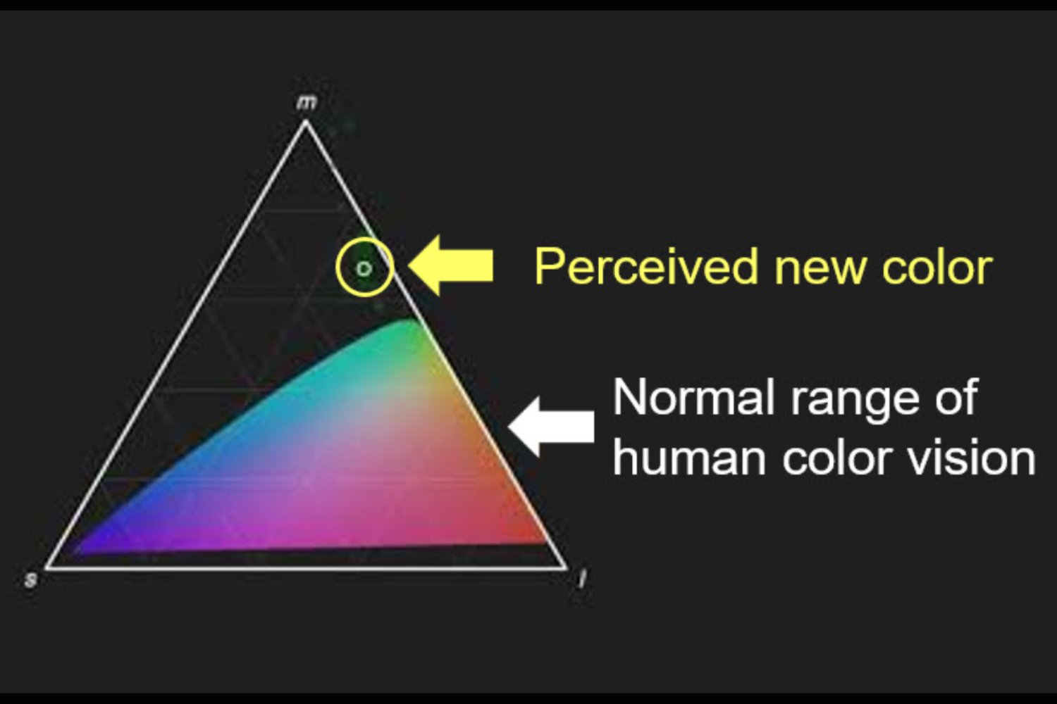 La ciencia acaba de crear un nuevo color y solo cinco ojos pudieron verlo