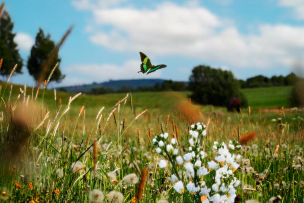GEO-7: la ONU revela que proteger el planeta es la mejor inversión económica del siglo