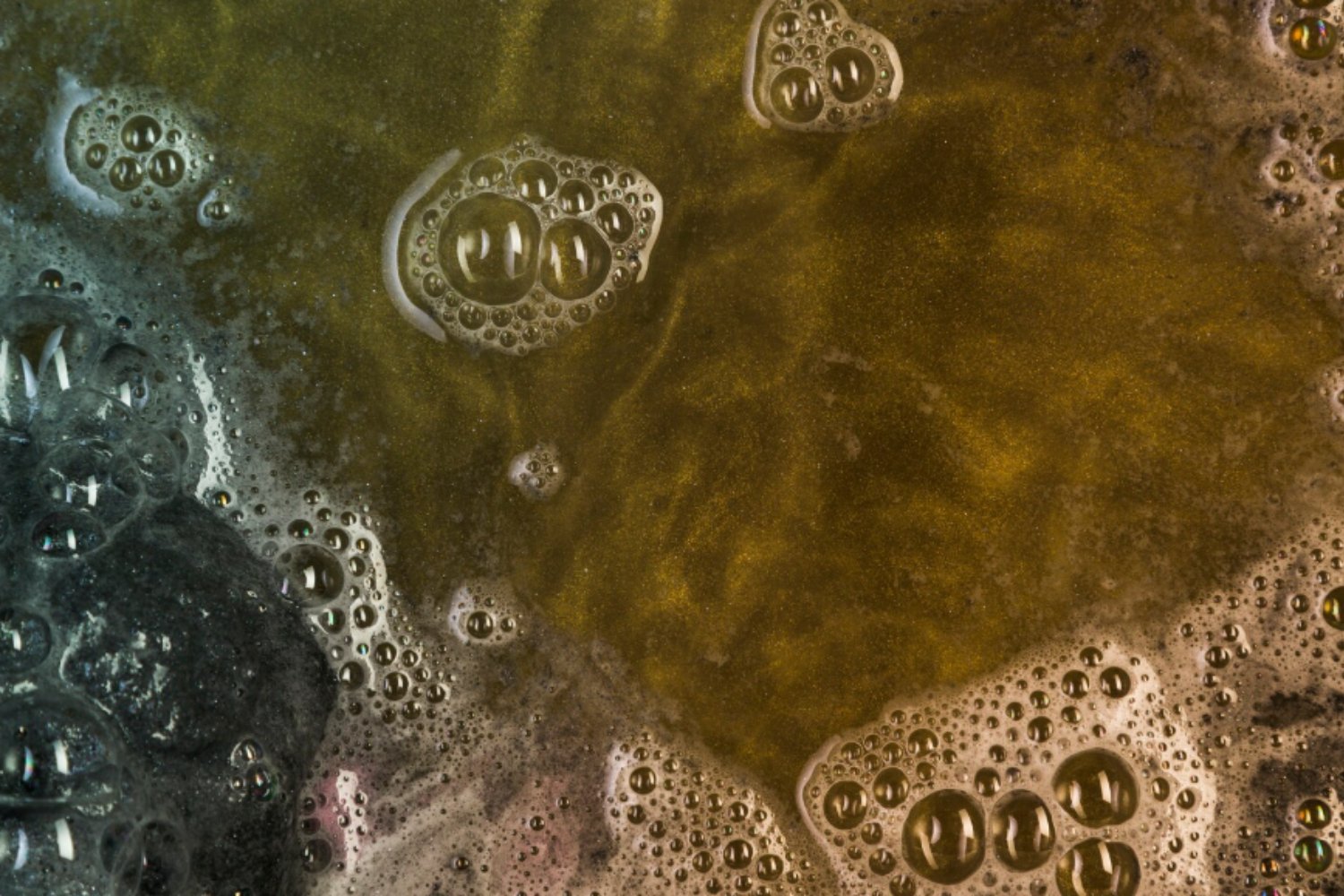 El invierno en el punto de mira: por qué algunos estados de EEUU han prohibido el estiércol en los campos