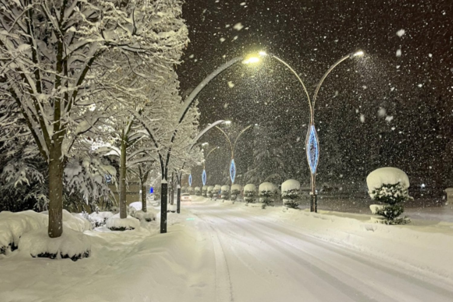 Caos en Turquía: una nevada extrema entierra Bolu bajo más de 50 centímetros de nieve