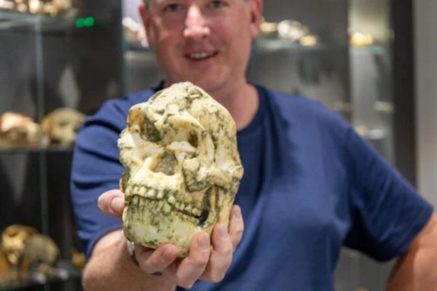 Ancestro Humano