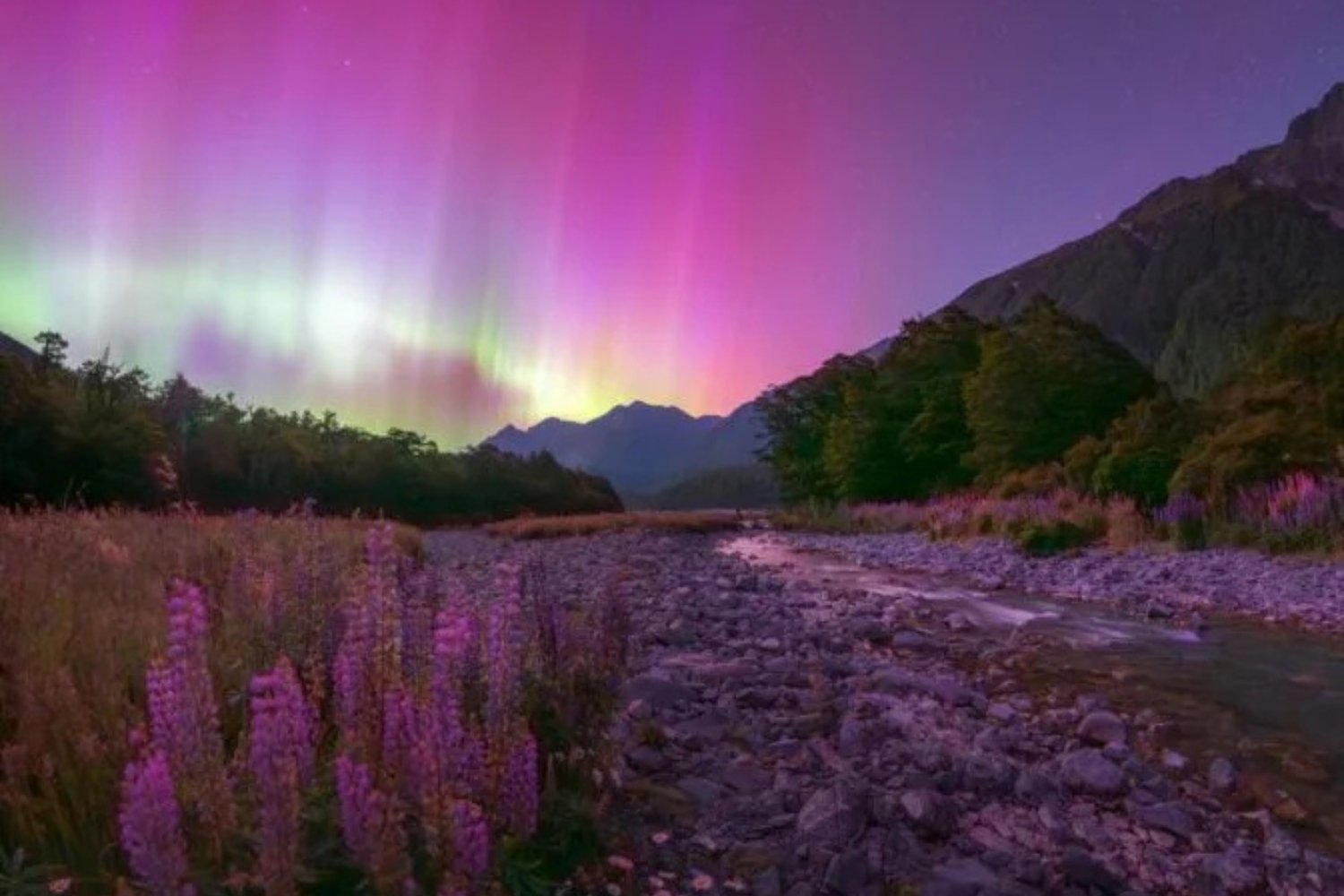 Douglas Thorne Aurora Boreal