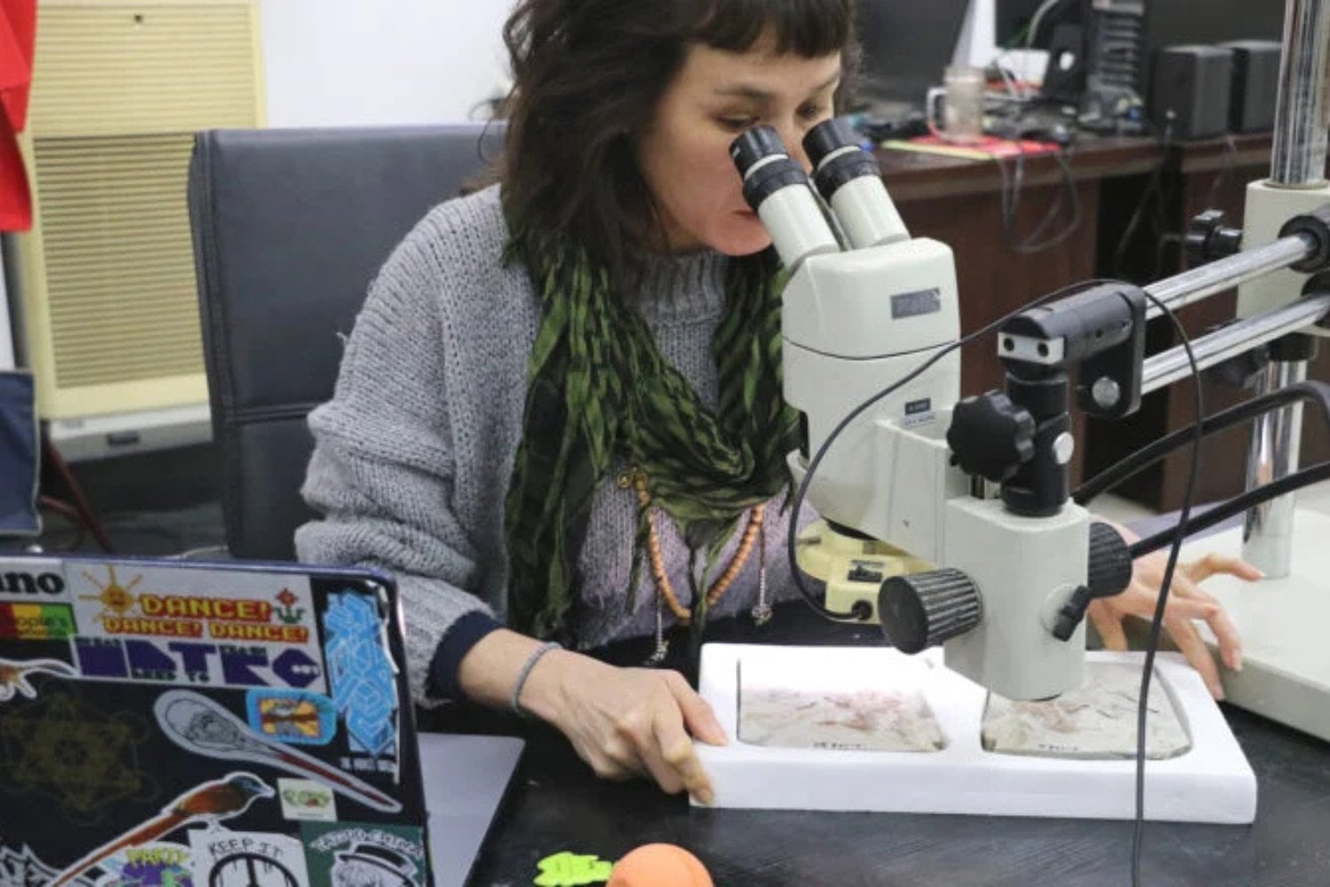 Investigacion Del Chromoeornis Funkyi