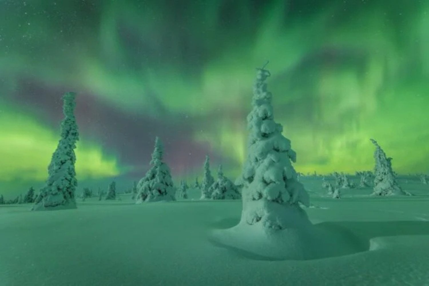 Nikki Born Aurora Boreal