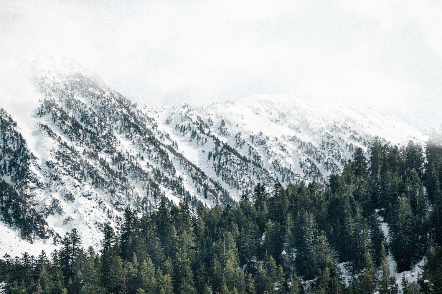 Pirineos